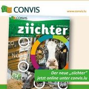 Newsletterbild Newsletterbild